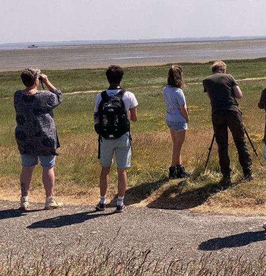 Vogels spotten op schiermonnikoog